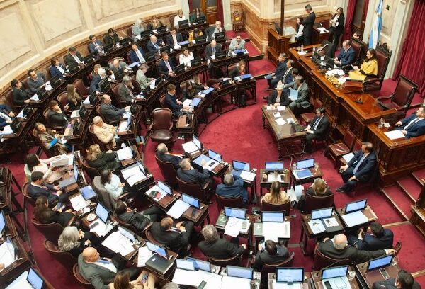 El Senado sesiona para aprobar la ley de propiedad privada