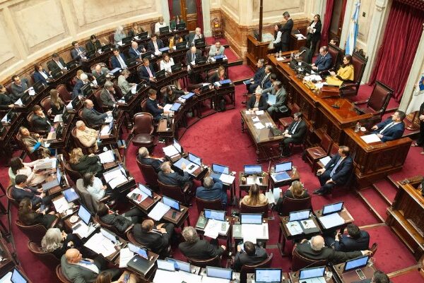 La semana que viene el Senado buscará aprobar la insistencia de la emergencia en discapacidad