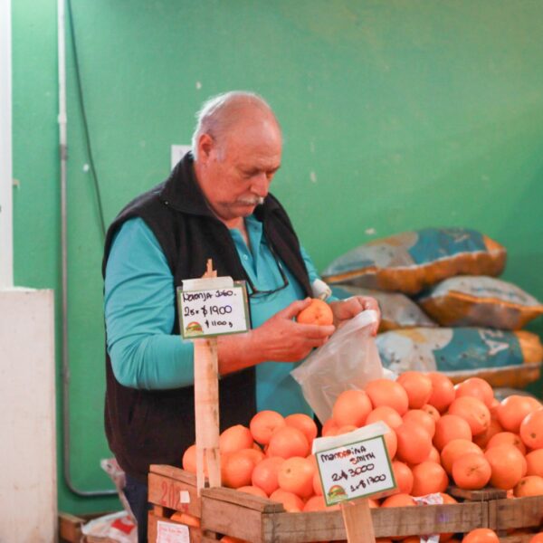 Fin de semana en el Puerto