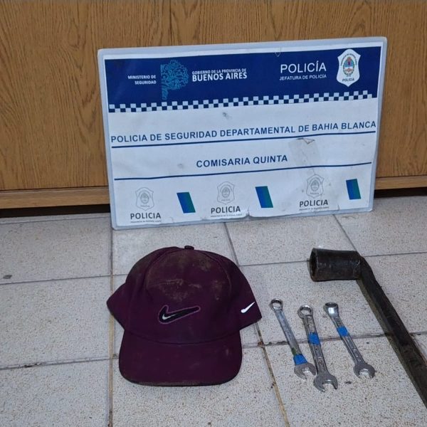 Un delincuente forcejeó con el propietario de una empresa donde intentó robar