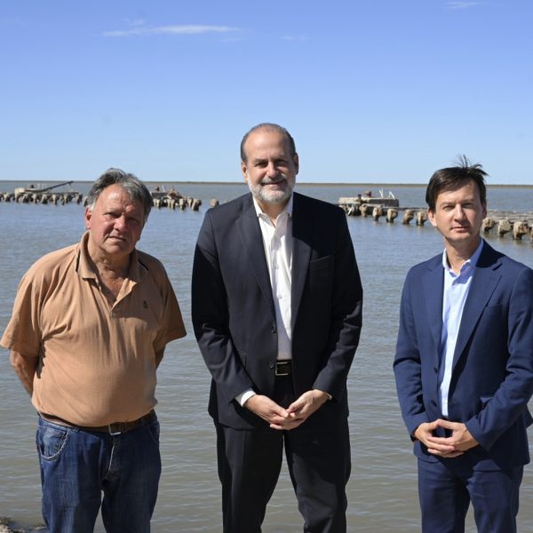 El Puerto avanza con la reconstrucción del muelle de General Daniel Cerri