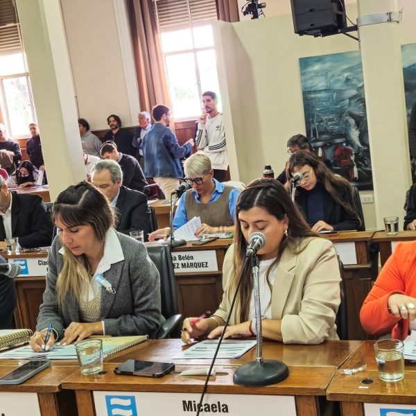 El HCD aprobó el proyecto de declarar el rechazo a los hechos de violencia en el BBPS