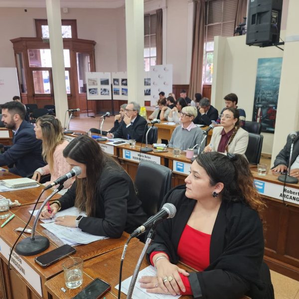 Sesión especial en el HCD: Se aprobó por mayoría la tarifa del boleto de colectivos
