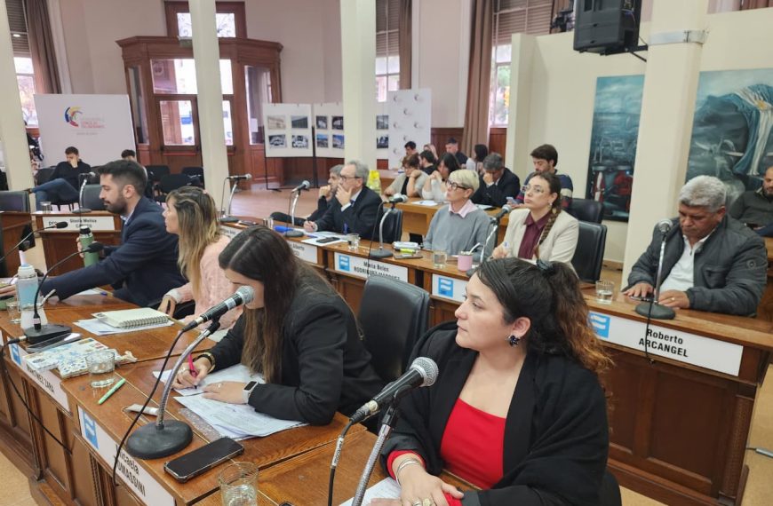 Sesión especial en el HCD: Se aprobó por mayoría la tarifa del boleto de colectivos
