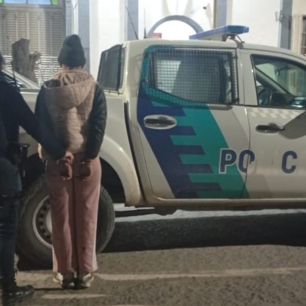 Detuvieron a una mujer acusada de un robo en el barrio Pampa Central