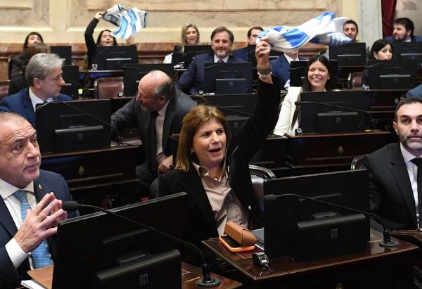 Jornada clave en el Senado: hoy se votará la ley de propiedad privada tras darse de baja la venta de tierras a extranjeros