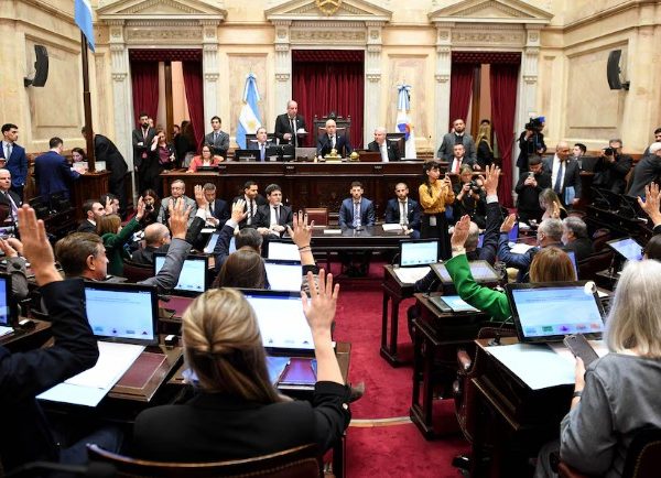 El Senado aprobó la ley de propiedad privada, pero el Gobierno debió ceder en la reforma del Fuego