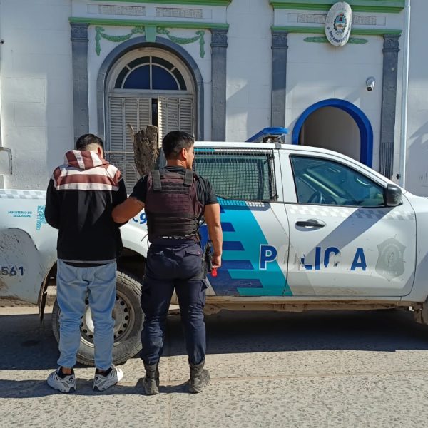 Salió de prisión hace cuatro días y robó un Fernet y dos salamines de un supermercado
