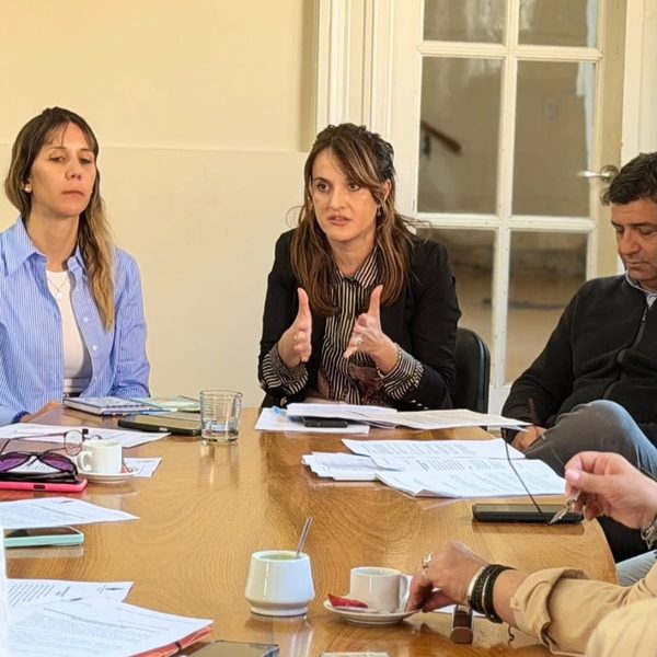 El Concejo Deliberante avanza en una ordenanza integral para prevenir y sancionar el maltrato animal