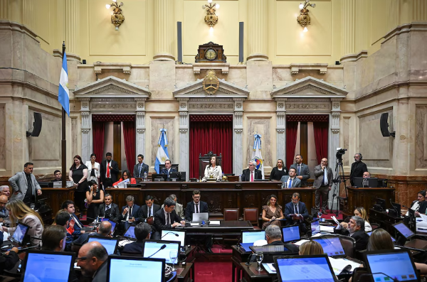 El Senado sesiona con la ley de salud mental aún en duda y buscará aprobar beneficios fiscales para inversiones